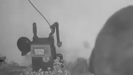 DIVLJA ZVER 37 DANA TERORISALA STANARE Krio se ispod kuće, vlasnik morao da postavi električnu zamku! (VIDEO)